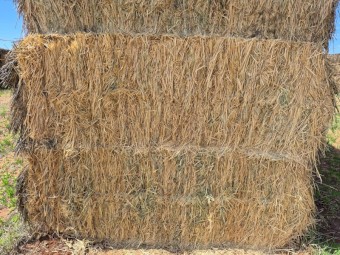 Barley Hay 7x3x3