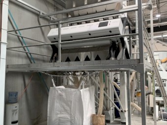 2021 Grotech ZF500 Colour Sorter - 5 chute