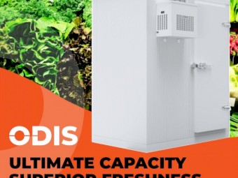 ODIS Cold Room 1HP – Plug & Play – Restaurant / Food Storage