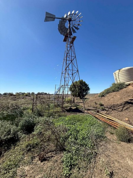 Southern Cross WIndmill