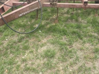 International 211 25 tyne scarifier and harrows