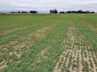 Agronic WRT 900. Trailed 4 Drum Swathing Rake. 