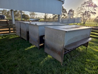 6 x Sheep Feeders
