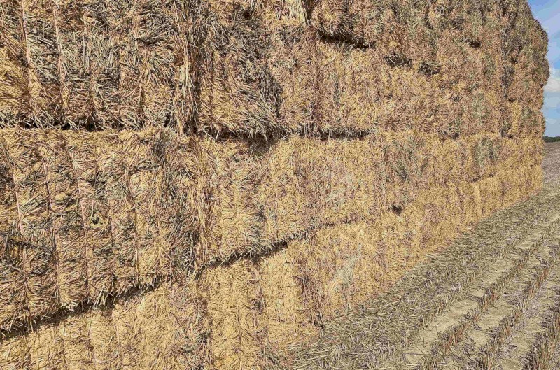 550mt Wheaten Hay 670kg 8x4x3 Bales