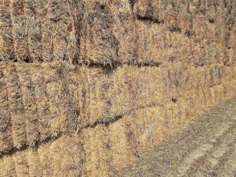 550mt Wheaten Hay 670kg 8x4x3 Bales