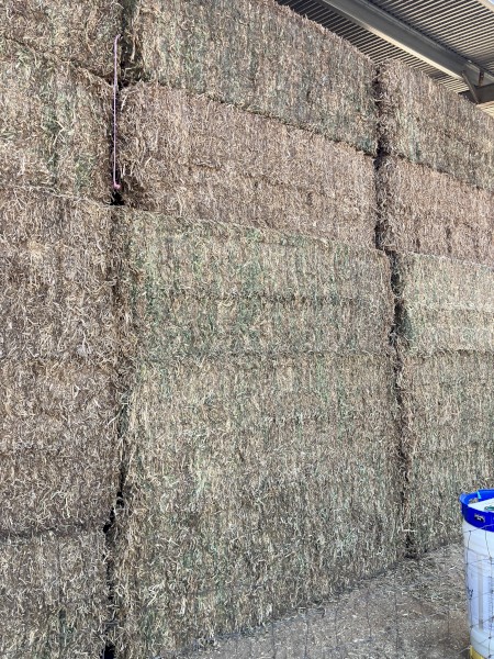 125mt Vetch / Pea Mix Hay 625kg 8x4x3 Bales