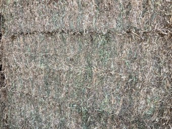 125mt Vetch / Pea Mix Hay 625kg 8x4x3 Bales