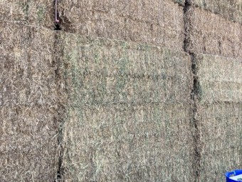 125mt Vetch / Pea Mix Hay 625kg 8x4x3 Bales