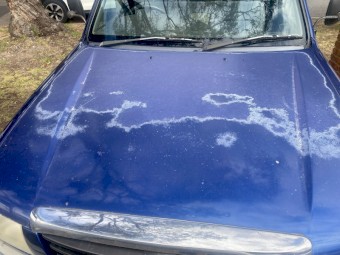 2004 Mazda Bravo Ute