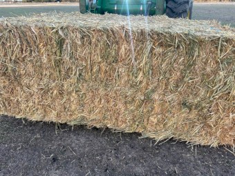 500mt Oaten Hay 650-700kg 8x4x3 Bales