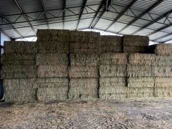 500mt Oaten Hay 650-700kg 8x4x3 Bales