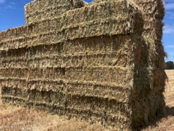 500mt Oaten Hay 650-700kg 8x4x3 Bales