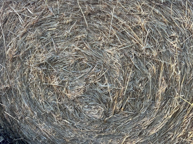 200 x Oaten Hay Rolls