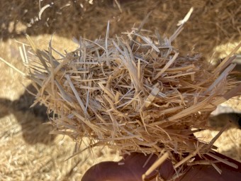 Barley Straw 540kg 8x4x3 Bales