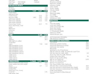 55 x Italian Ryegrass/Arrowleaf Clover Hay 5x4 Round Bales