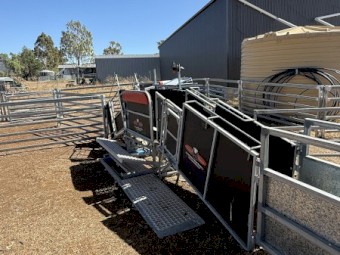 Sheep handler COMBI clamp & yards