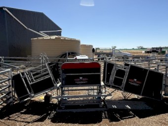 Sheep handler COMBI clamp & yards