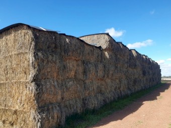 Oaten Hay - '25 Season