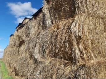 82mt Oaten Hay 590kg 8x4x3 Bales