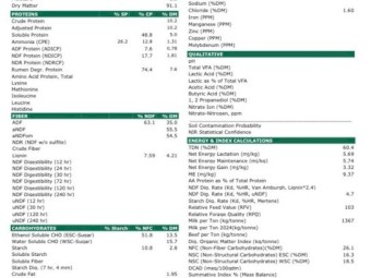 170mt Oaten Hay 550-600kg 8x4x3 Bales