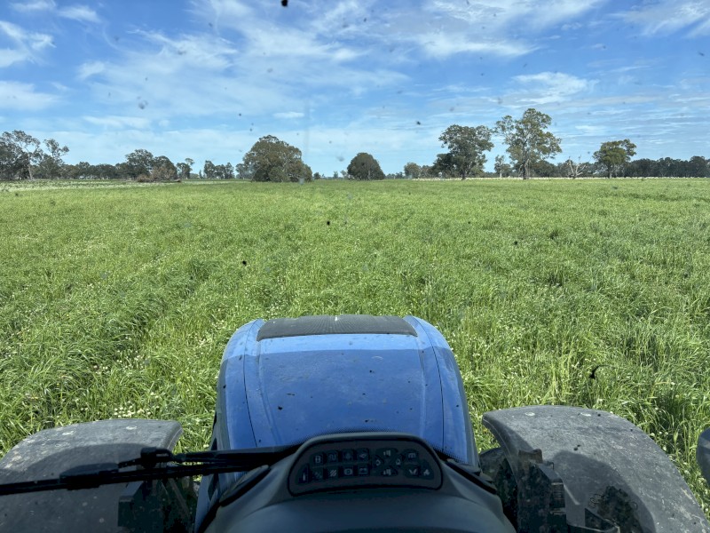 500mt Clover Ryegrass Hay 8x4x3 Bales
