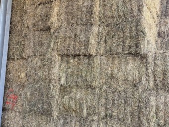 500mt Clover Ryegrass Hay 8x4x3 Bales