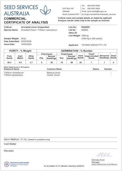Arrowleaf Clover Seed
