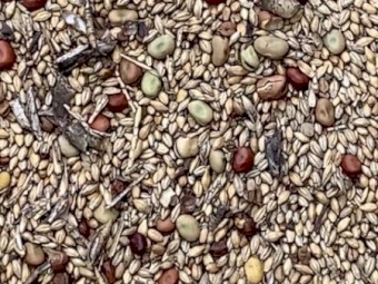 Wanted - Seconds or screenings mixed grain