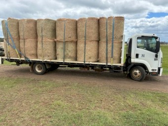 Horse Quality 4x4 Prime Lucerne with a  flick of grass