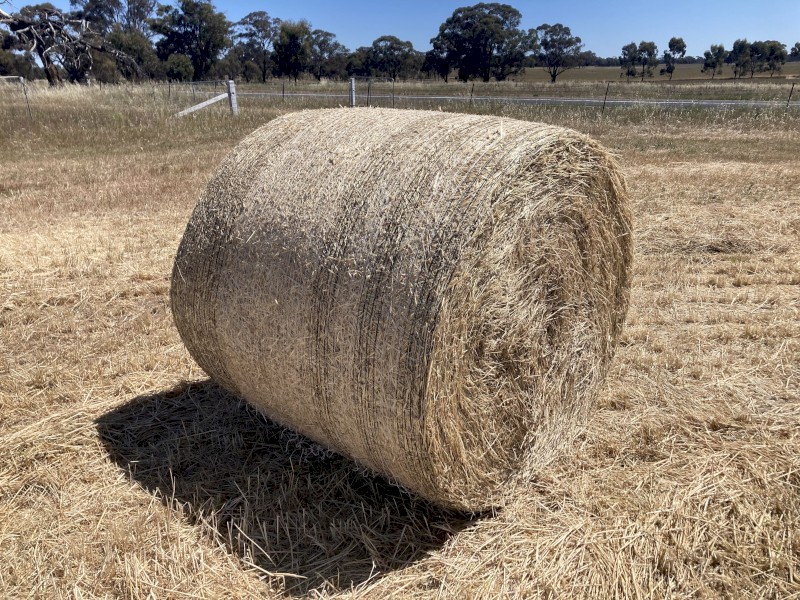 New Season Oaten Hay 
