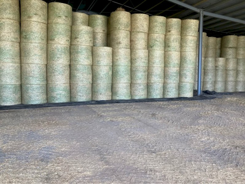 Wheaten Hay 4x4 Round Bales