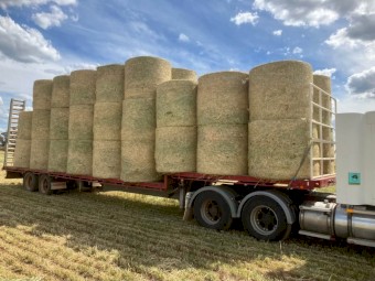 Wheaten Hay 4x4 Round Bales