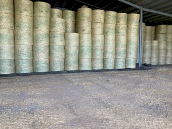 Wheaten Hay Round Bales Fully Shedded