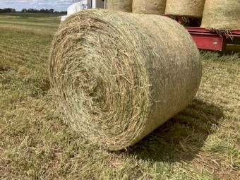 Wheaten Hay 4x4 Round Bales