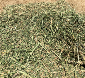 400mt Lucerne Rye Grass Hay 8x4x3 Bales