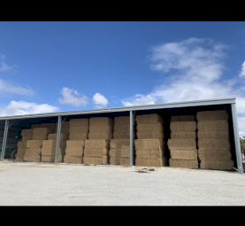 400mt Lucerne Rye Grass Hay 8x4x3 Bales