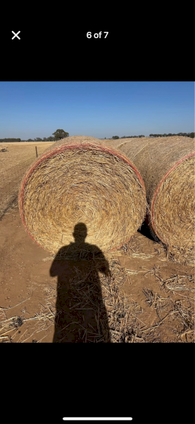500mt Oaten Hay 5x4 Rolls