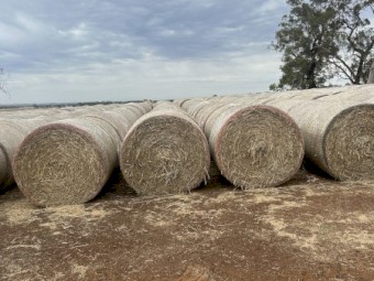 500mt Barley Hay 5x4 Rolls