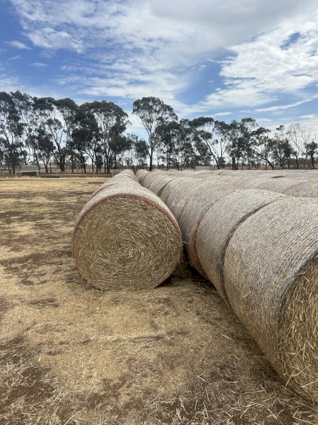 500mt Wheaten Hay 5x4 Rolls