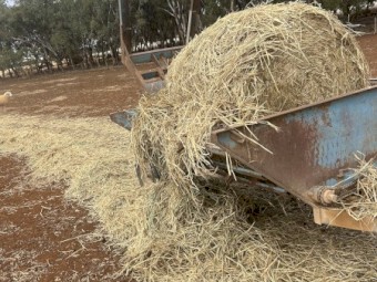 500mt Wheaten Hay 5x4 Rolls