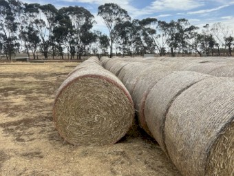 500mt Wheaten Hay 5x4 Rolls