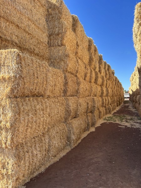 Wheaten Straw 540kg 8x4x3 bales
