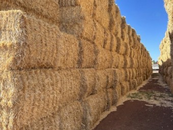 Wheaten Straw 540kg 8x4x3 bales