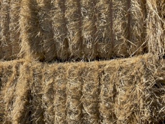 Barley Straw 540kg 8x4x3 bales