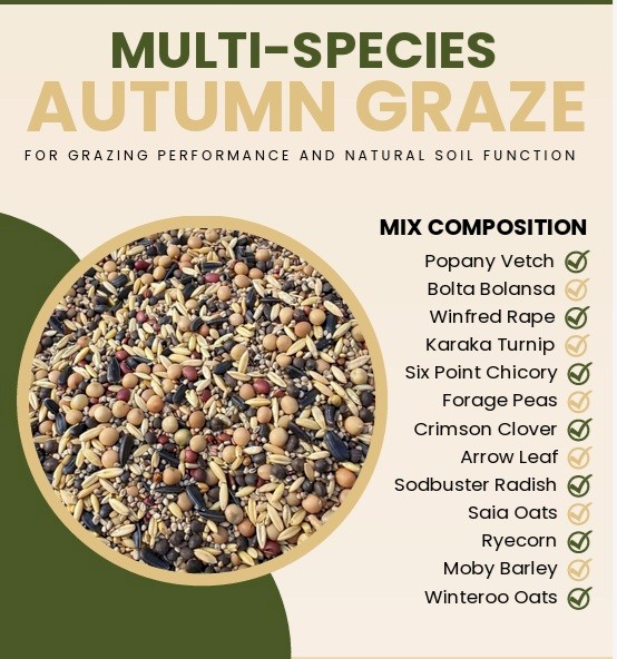 Autumn Graze Multi Species Coated Seed Blend