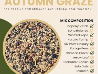 Autumn Graze Multi Species Coated Seed Blend