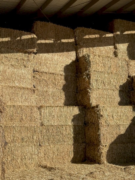 100mt Oaten Hay 8x4x3 Bales