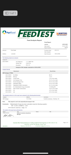 2025 barley hay  squares