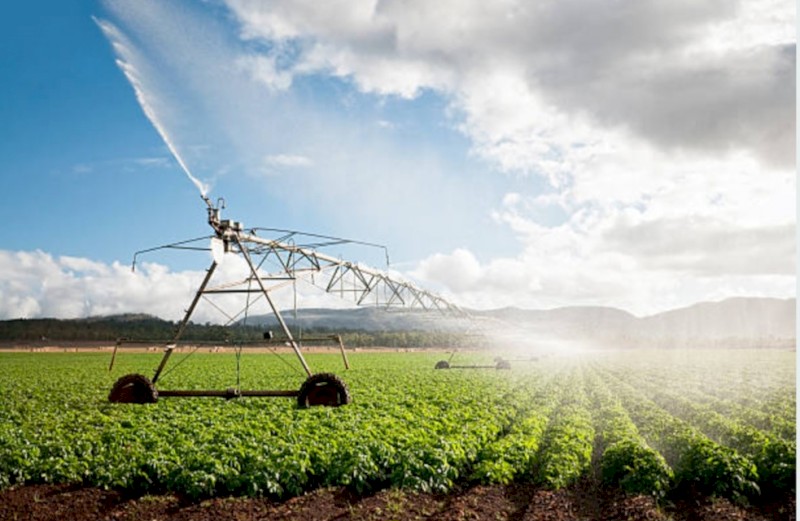 50 Meg litre Groundwater Water Access Licence –Sydney Basin Nepean Zone 2