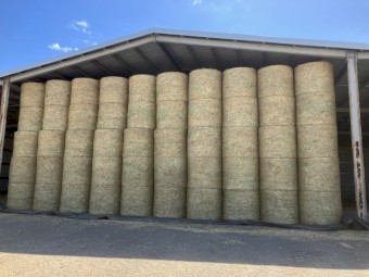 Oaten Hay Round Bales Fully Shedded